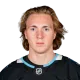 Logan Cooley